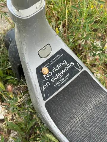 scooter snail