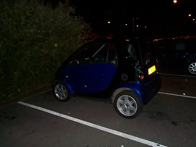 Smart