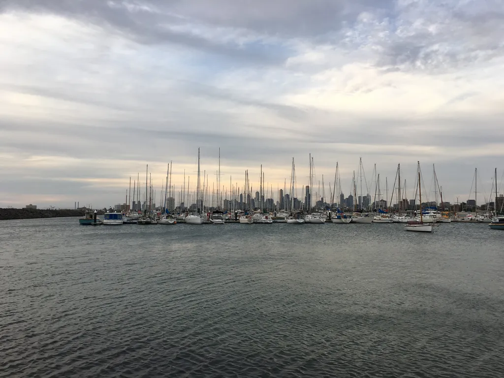 the bay