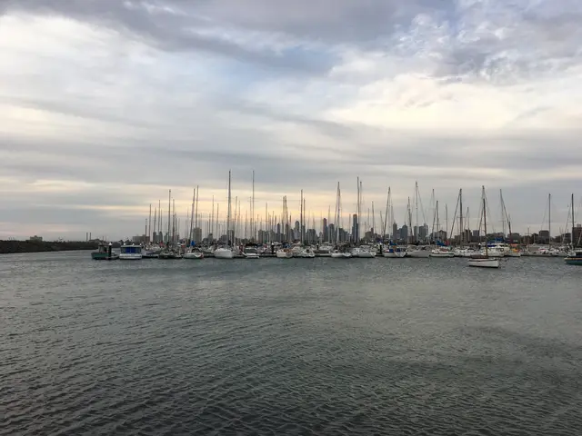 the bay