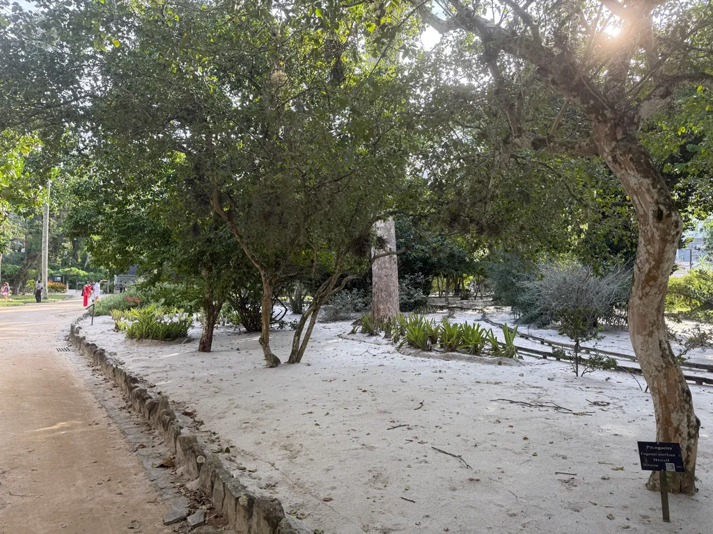 the Botanical Garden in Rio