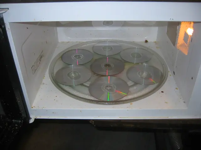 destroying old msdn discs, img_1768