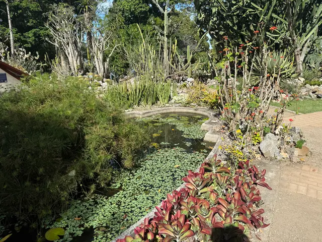 the Botanical Garden in Rio