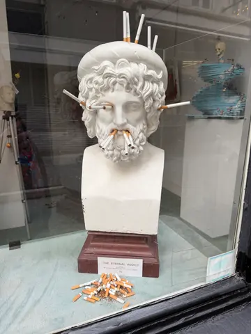 the eternal addict