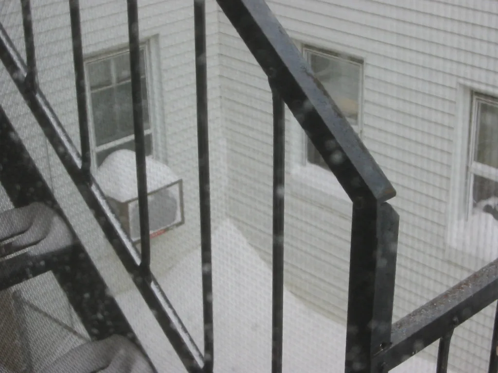 snowstorm, 2003-02, Neighbors
