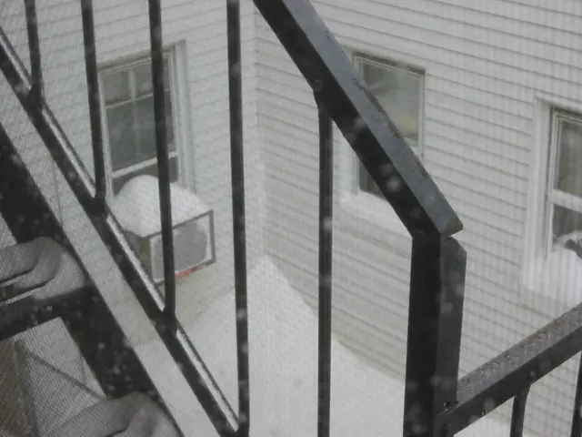 snowstorm, 2003-02, Neighbors