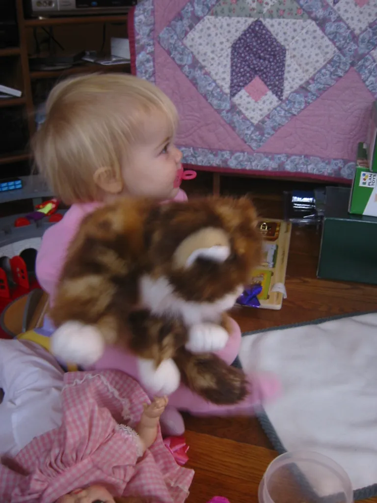 anika's new cat