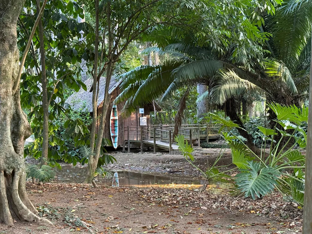 the Botanical Garden in Rio