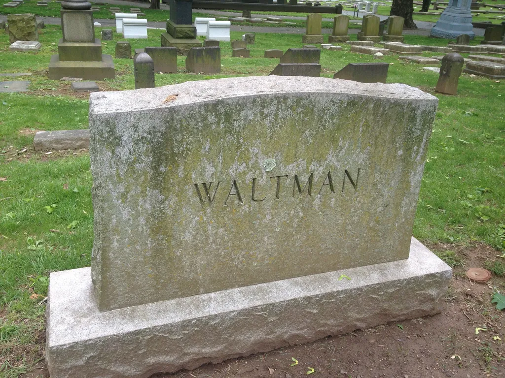 alas, poor waltman