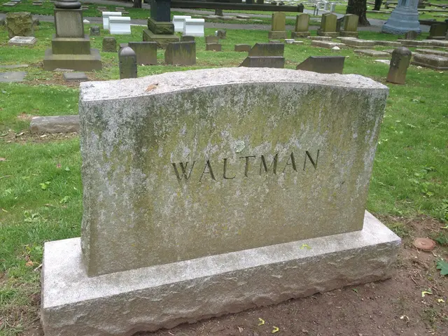 alas, poor waltman