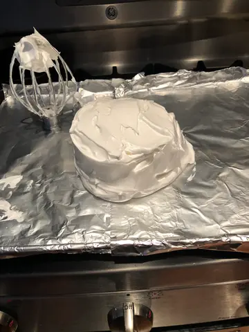 second Pavlova attempt