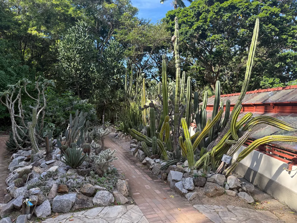 the Botanical Garden in Rio